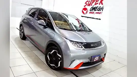 Foto de um byd dolphin