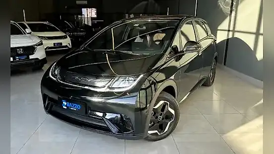 Foto de um byd dolphin