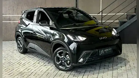 Foto de um byd dolphin mini