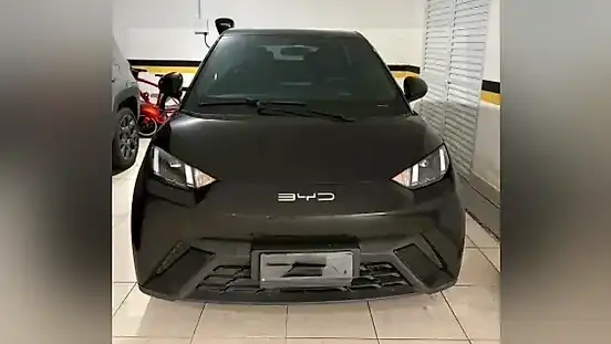 Foto de um byd dolphin