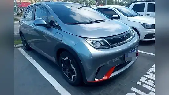 Foto de um byd dolphin