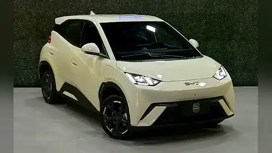 Foto de um byd dolphin mini
