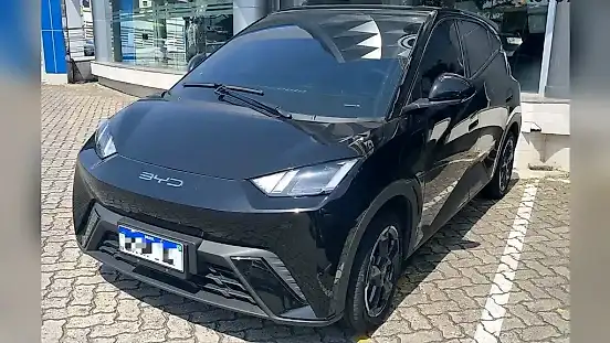 Foto de um byd dolphin mini