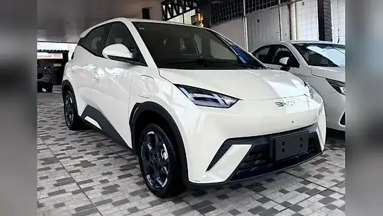 Foto de um byd dolphin mini