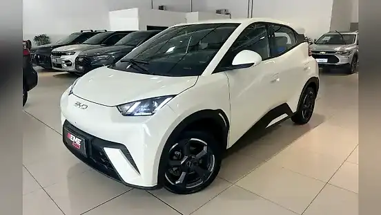 Foto de um byd dolphin mini