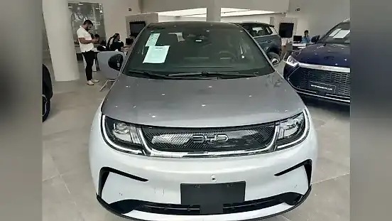 Foto de um byd dolphin plus