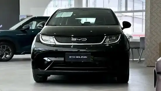 Foto de um byd dolphin