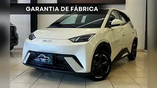 Foto de um byd dolphin
