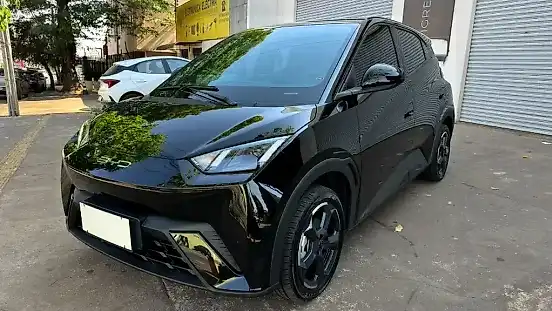 Foto de um byd dolphin mini