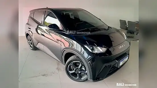 Foto de um byd dolphin mini
