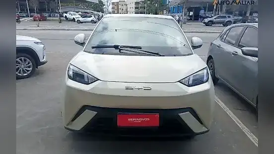 Foto de um byd dolphin mini