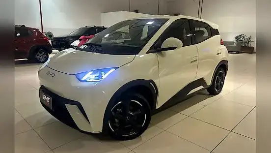 Foto de um byd dolphin mini