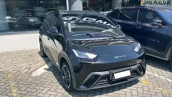 Foto de um byd dolphin mini