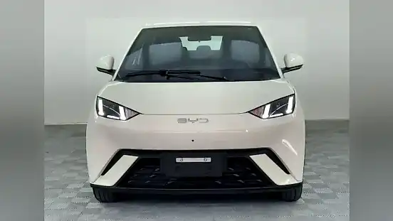 Foto de um byd dolphin mini