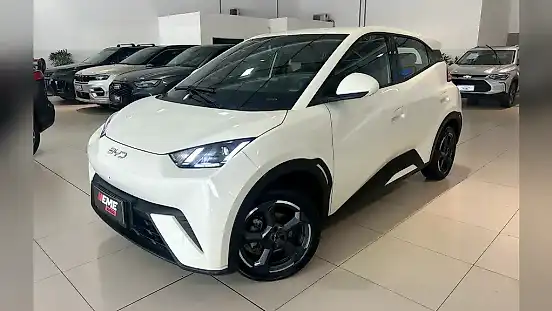 Foto de um byd dolphin