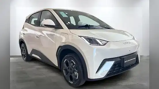 Foto de um byd dolphin