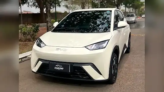 Foto de um byd dolphin mini