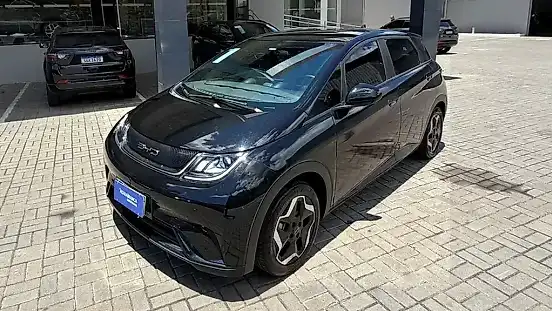 Foto de um byd dolphin