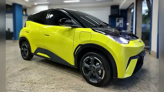 Foto de um byd dolphin
