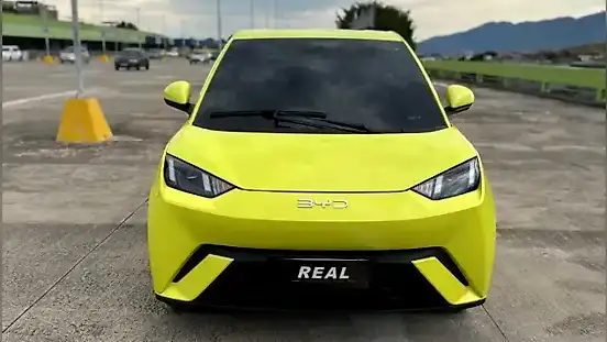 Foto de um byd dolphin mini