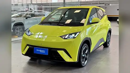 Foto de um byd dolphin mini