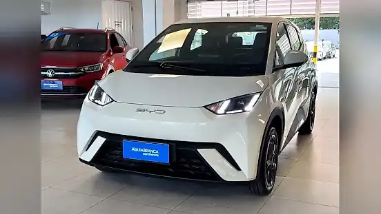 Foto de um byd dolphin mini
