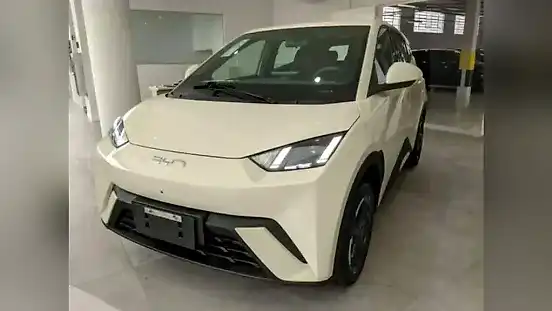 Foto de um byd dolphin mini