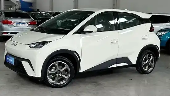 Foto de um byd dolphin mini