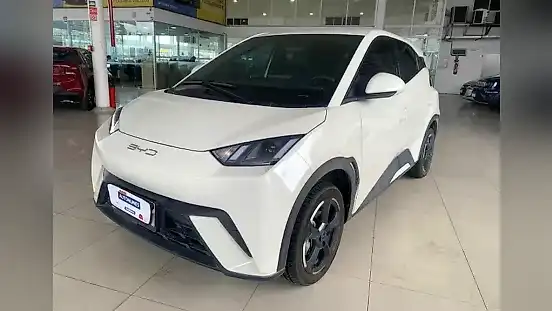 Foto de um byd dolphin mini