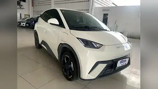 Foto de um byd dolphin mini