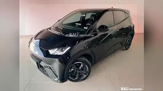 Foto de um byd dolphin mini
