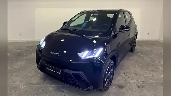Foto de um byd dolphin