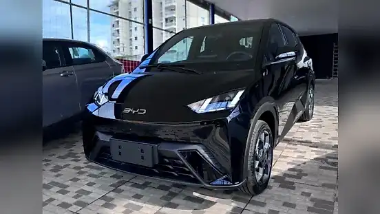 Foto de um byd dolphin mini
