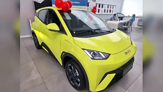 Foto de um byd dolphin mini