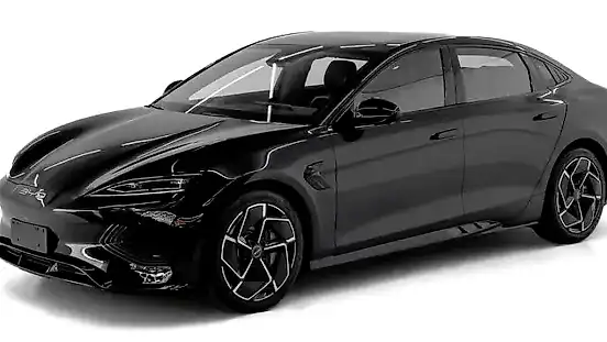 Foto de um byd seal