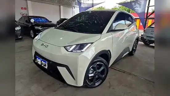 Foto de um byd dolphin mini