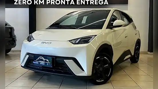 Foto de um byd dolphin mini