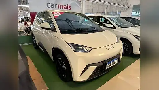 Foto de um byd dolphin mini