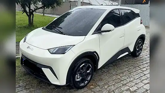 Foto de um byd dolphin mini