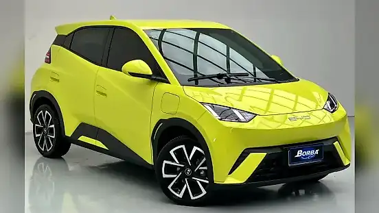 Foto de um byd dolphin mini