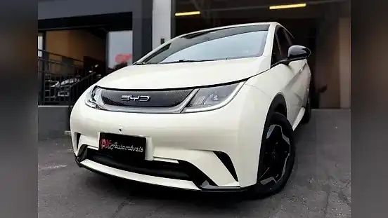 Foto de um byd dolphin
