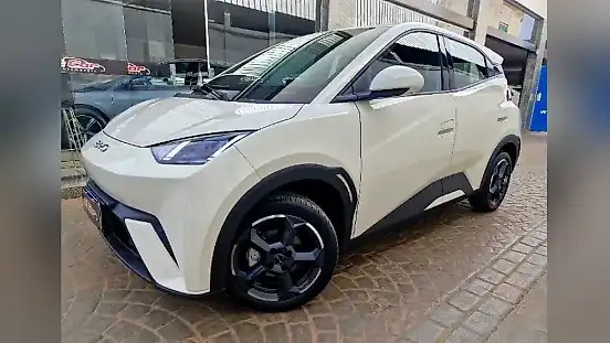 Foto de um byd dolphin mini