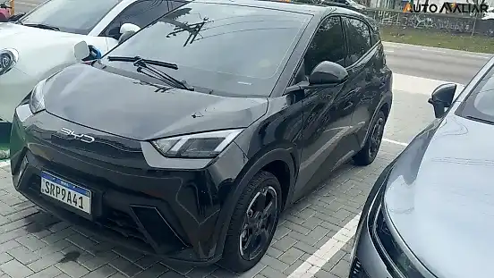 Foto de um byd dolphin mini