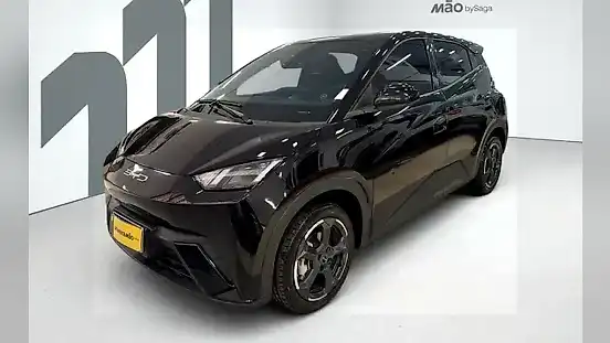 Foto de um byd dolphin mini
