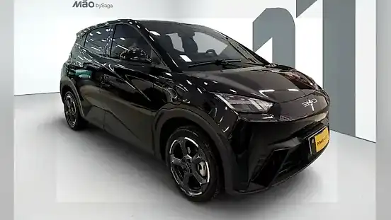 Foto de um byd dolphin mini