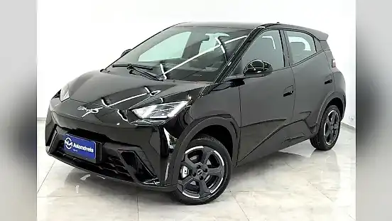 Foto de um byd dolphin mini