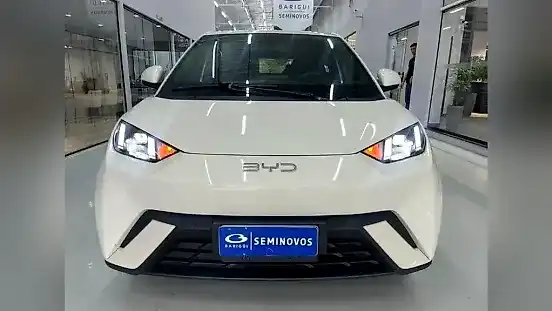 Foto de um byd dolphin mini