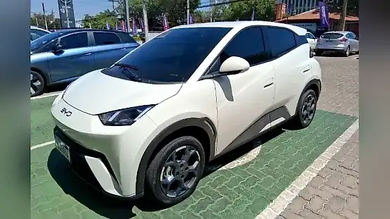 Foto de um byd dolphin mini