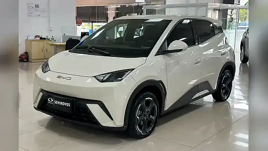 Foto de um byd dolphin mini