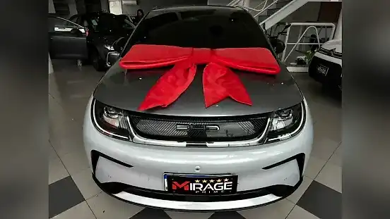 Foto de um byd dolphin plus